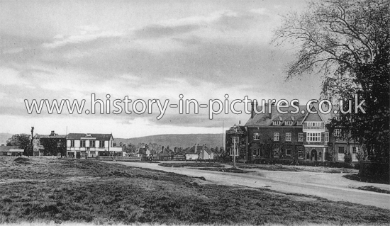 Roebuck Hotel & Guy's Retreat, Buckhurst Hill, Essex. c.1910